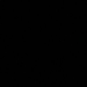 Meet your Posher, Chase